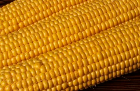 Corn Stock Photos