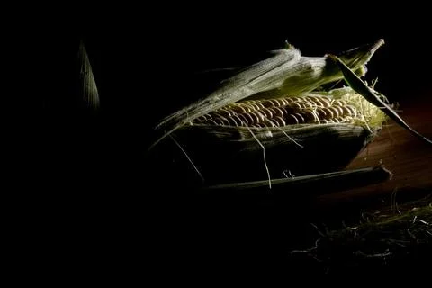 Corn Stock Photos