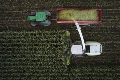 Corn Stock Photos
