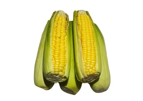 The Corn Stock Photos