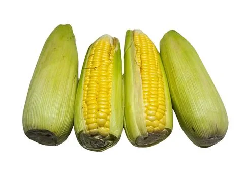 The Corn Stock Photos