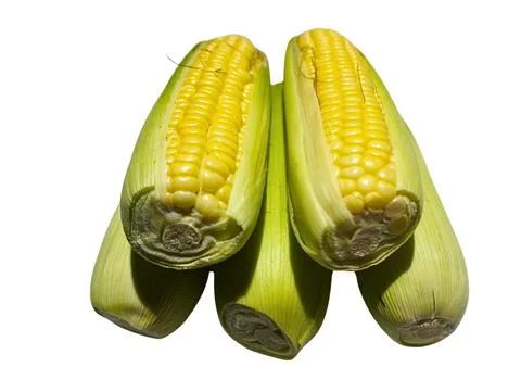 The Corn Stock Photos