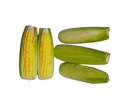 The Corn Foto stock