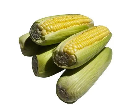 The Corn Stock Photos