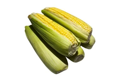 The Corn Stock Photos