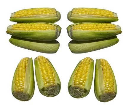 The Corn Stock Photos