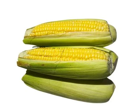 The Corn Foto stock