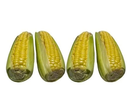The Corn Stock Photos