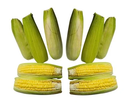 The Corn Stock Photos