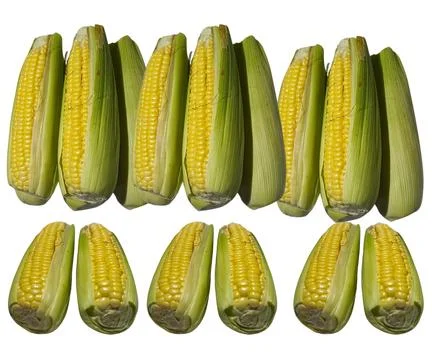The Corn Foto stock