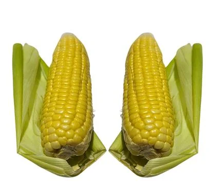 The Corn Stock Photos
