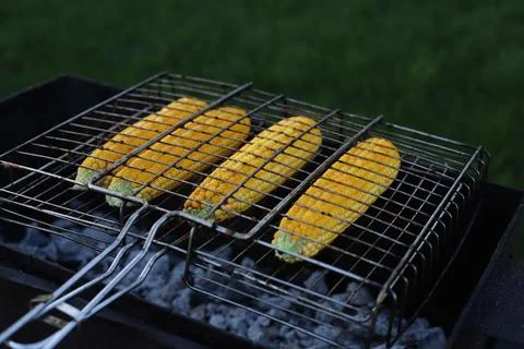 Corn Stock Photos