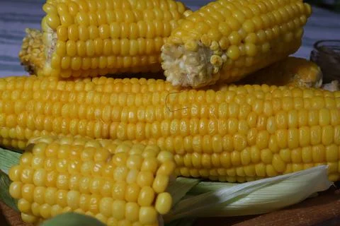 Corn Stock Photos