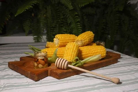 Corn Stock Photos