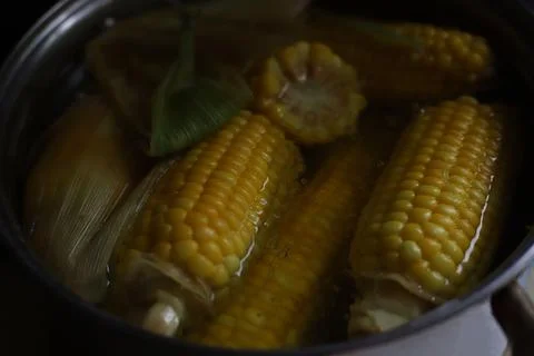 Corn Stock Photos