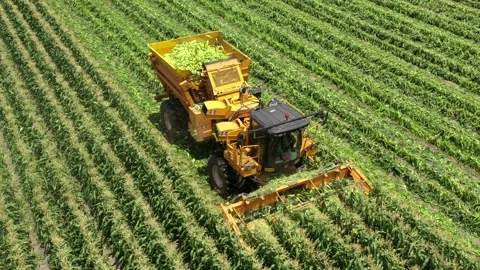 Corn picker harvesting a large filed of Sweet Corn cobs, Aerial follow footage. Stock Footage 131771249