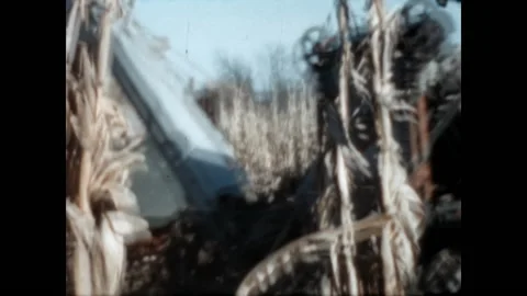 Corn Picking Machine 1941 Stock Footage 239249299