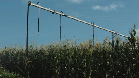 CORN PIVOT IRRIGATION SYSTEM Stock Footage 306696223