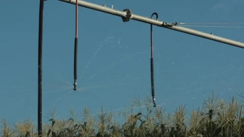 CORN PIVOT IRRIGATION SYSTEM Stock Footage 306696244
