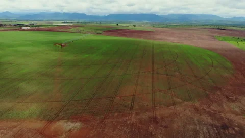 CORN PIVOT IRRIGATION SYSTEM Stock Footage 308249003