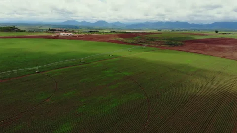 CORN PIVOT IRRIGATION SYSTEM Stock Footage 308249004