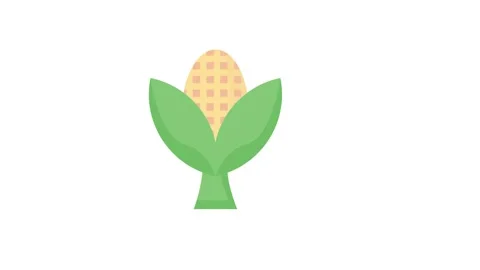 A corn plant featuring a green leaf and a plug attached to its base, symbol.. Stock Footage 332531511