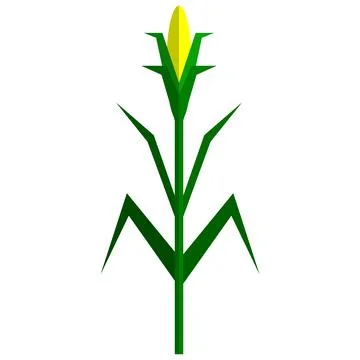 Corn plant icon, flat vector isolated illustration. Sweet maize, cereal grain. Stock Illustration