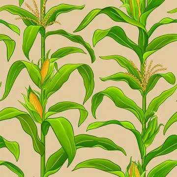 Corn plant vector pattern on color background Stock Illustration