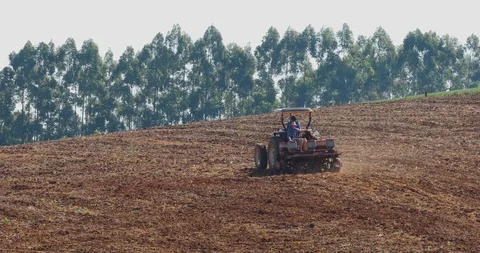 Corn plantation Video stock 91111449