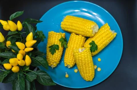 Corn in a plate on a dark background Stock Photos