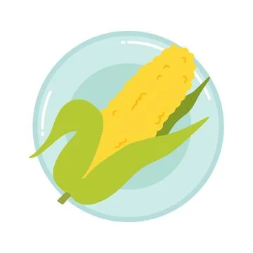 Corn on a plate isolated on white background. Vector illustration Stock Illustration