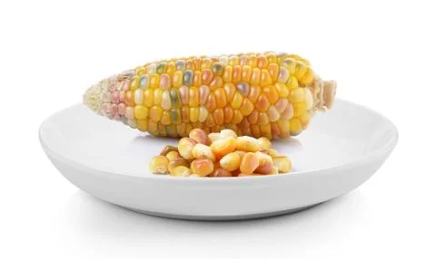 Corn in plate on white background Stock Photos