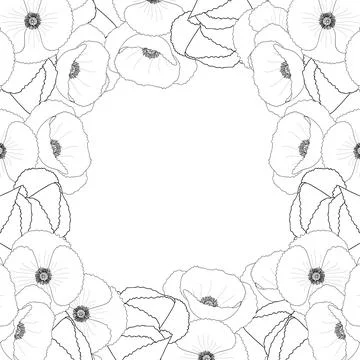 Corn Poppy Outline Border2 Stock Illustration