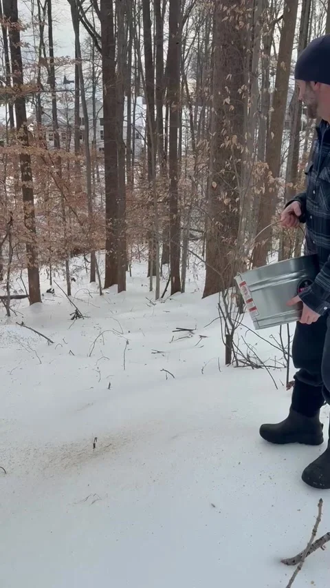 Corn Poured Down Icy Slope Makes Satisfying Sound, Maryland, USA - 31 Jan 2026 Stock Footage 328250063