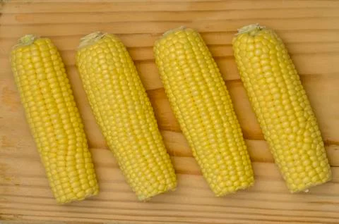 Corn on prep board top 02 Stock Photos