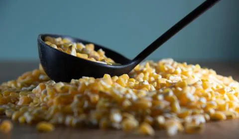 Corn for preparing hominy dish in shell on woody background Stock Photos