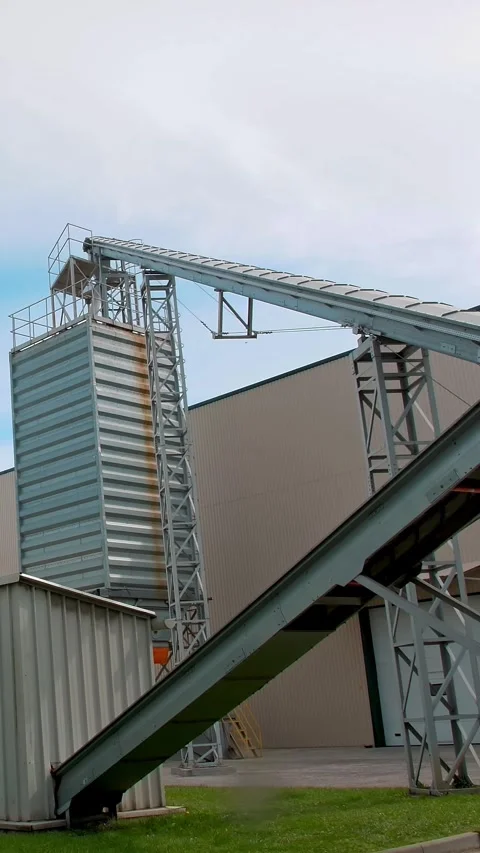 Corn processing factory. automated conveyor belt delivers raw materials from one Stock Footage 312386418