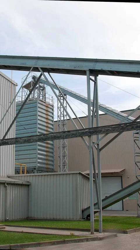 Corn processing factory. automated conveyor belt delivers raw materials from one Stock Footage 314888134
