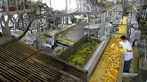 Corn processing factory Stock Footage 11879794