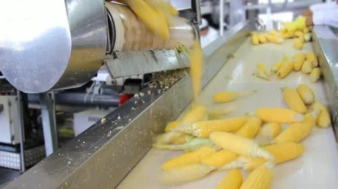 Corn processing factory Stock Footage 11880036