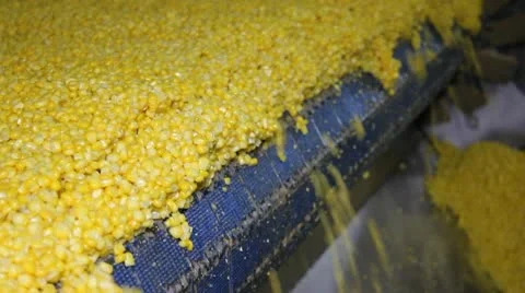 Corn processing factory Stock Footage 11906848