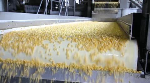 Corn processing factory Video stock 11906974