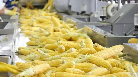 Corn processing factory Stock Footage
