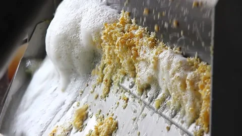 Corn processing in food industry Stock Footage 163335383