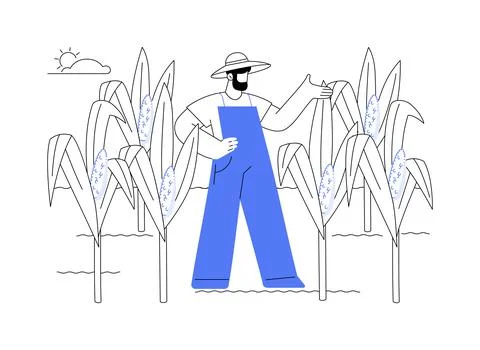 Corn production abstract concept vector illustration. Stockillustratie