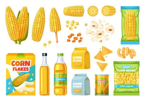 Corn products. Maize food elements, ripe cobs, sweet plant grains, agricultural 스톡 일러스트