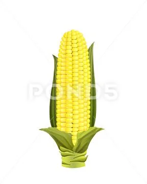Corn PSD Template