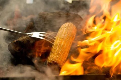 Corn roasting barbecue on coal fire Stock Photos