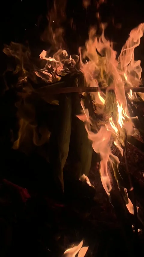 Corn roasting in a campfire, cooking corn on the cob in open fire Vídeos de archivo 336135888
