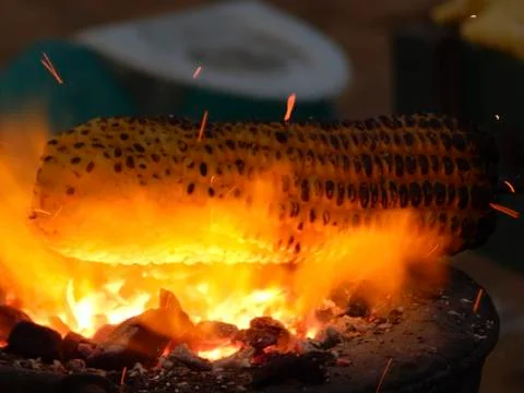 Corn roasting in charcoal grill Stock Photos